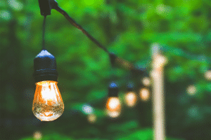 A string of lights hung up in a lush, green backyard. 